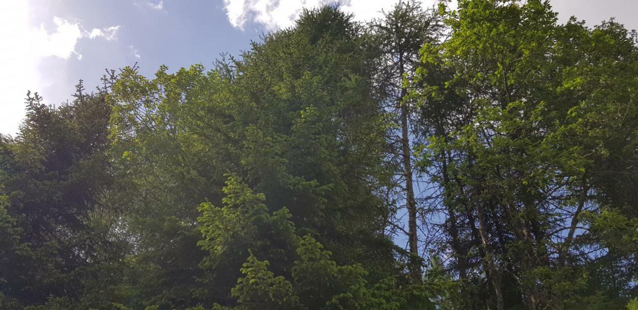 Kinder- Und Familienhotel Nockalm Innerkrems Εξωτερικό φωτογραφία